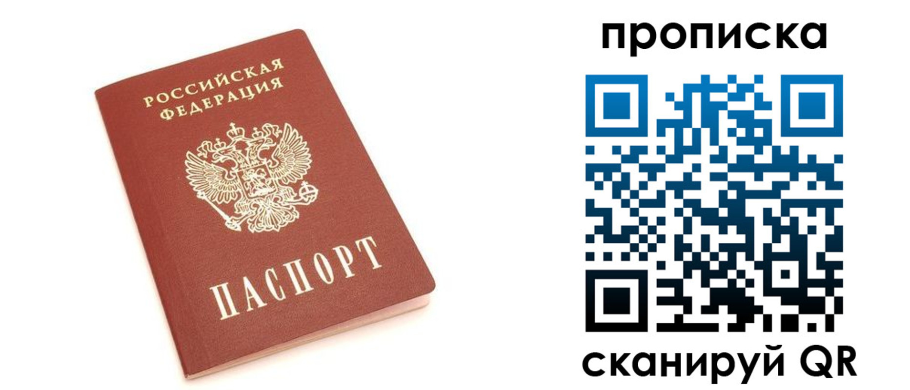 прописка 2025 в Звенигово