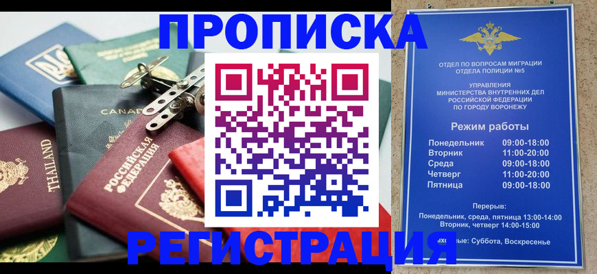 форма 3 в Звенигово